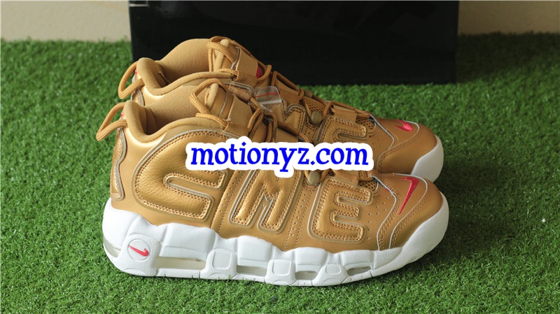 Authentic Supreme x Nike Air More Uptempo Golden